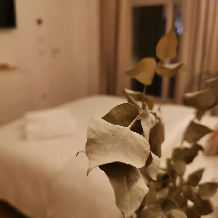 Aracoeli 20 Bed & Breakfast *